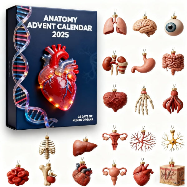 🔥 Sidste dag – 49% RABAT – 2025 Anatomy Julekalender
