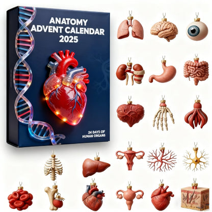 🔥 Sidste dag – 49% RABAT – 2025 Anatomy Julekalender
